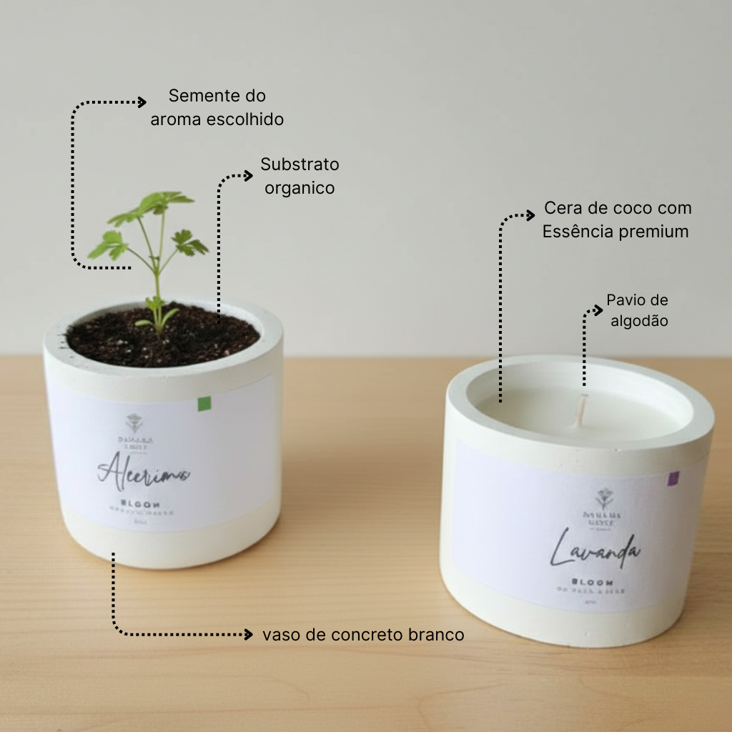 Ingredientes naturais da vela artesanal Linha Bloom