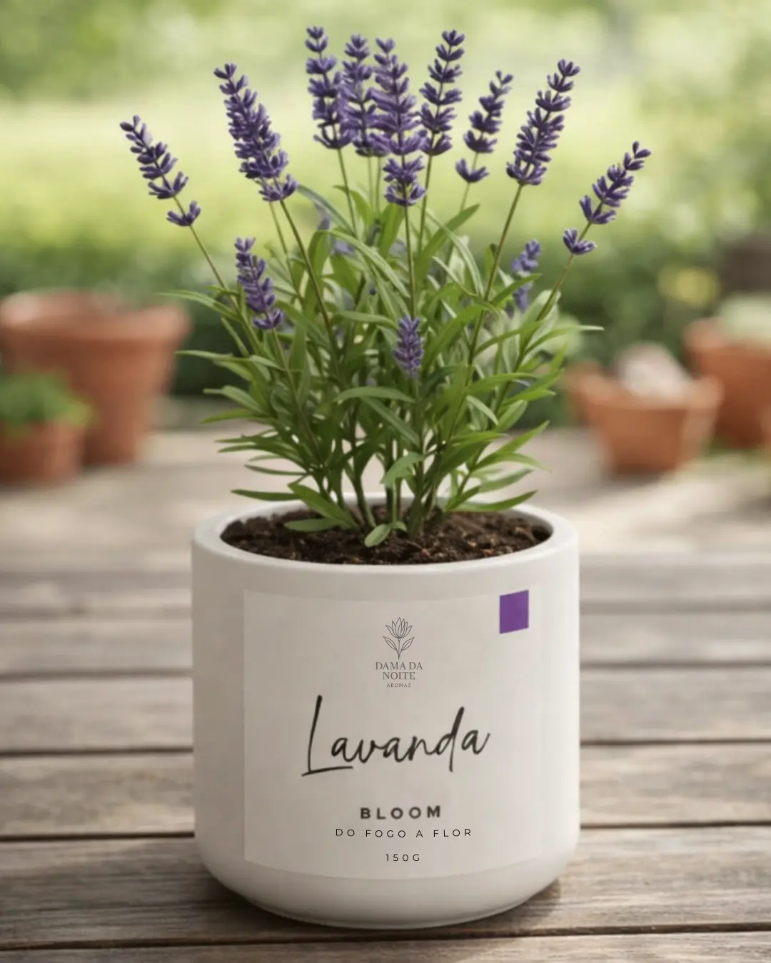 Vaso de cimento reutilizado como mini jardim após queima da vela